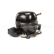 302-828B Compatible Beverage Air Comprssr 220V 50Hz R134 A 950Bt