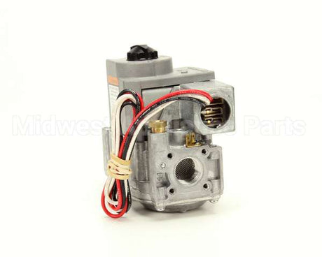 30218 Blodgett Dual Solenoid Zephg Nat Svc