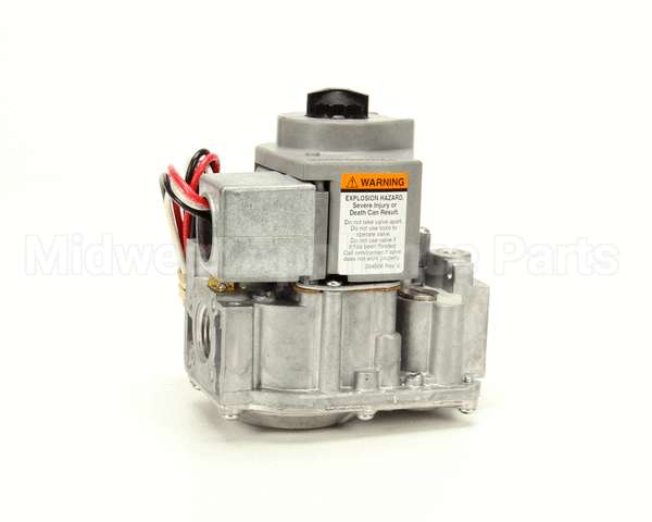 30218 Blodgett Dual Solenoid Zephg Nat Svc