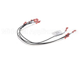 3041994 Hussmann Harness-Rtn400 Isf