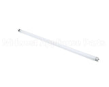305497 Barker Lamp