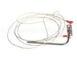 305990008 Atosa Temp Probe