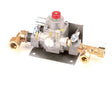 30769-6 Montague Safety Valve Assembly-Lt (24362460