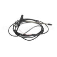 30820031 Compatible Blodgett Meat Probe L=2000Mm Cs