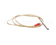 30857 Blodgett Probe,Rtd 500 Ohm T1648
