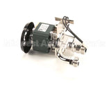 310-00006 Grindmaster Cecilware Water Pump, 120V
