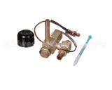 3101353 Hussmann Valve-Liquid Inject 998-0746-0