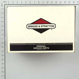 311966GS Briggs & Stratton Pump