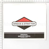 314441GS Briggs & Stratton Pump