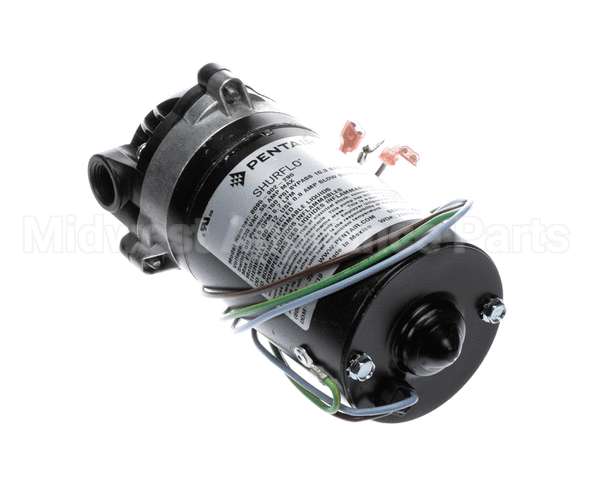 3149 Cornelius Pump / Mot 230V 50/60 Hz