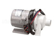 316043A09 Hoshizaki Pump (60Hz/50Hz)