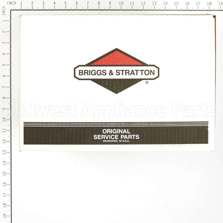 317055GS Briggs & Stratton Pump