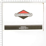 317259GS Briggs & Stratton Pump