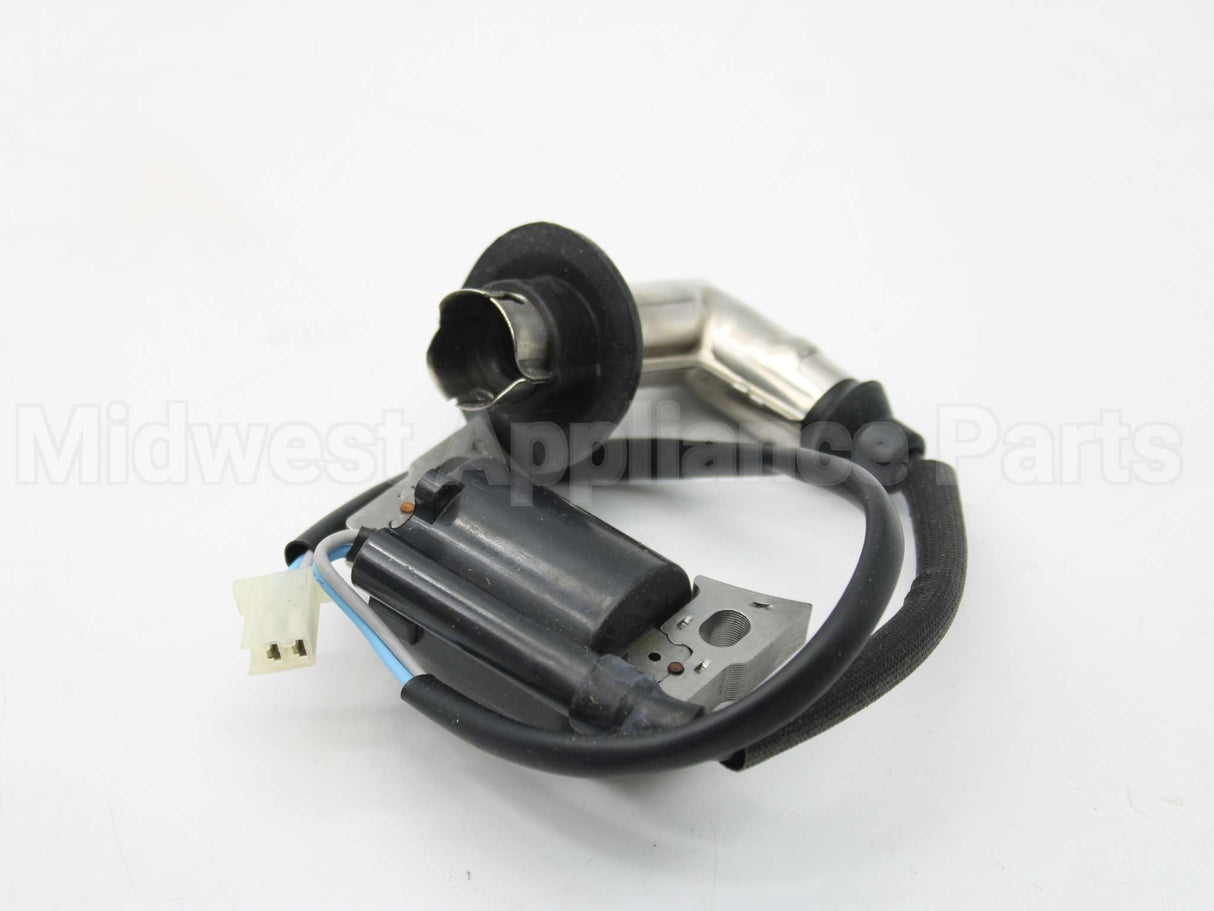 317436GS Briggs & Stratton Coil-Ignition