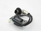 317436GS Briggs & Stratton Coil-Ignition