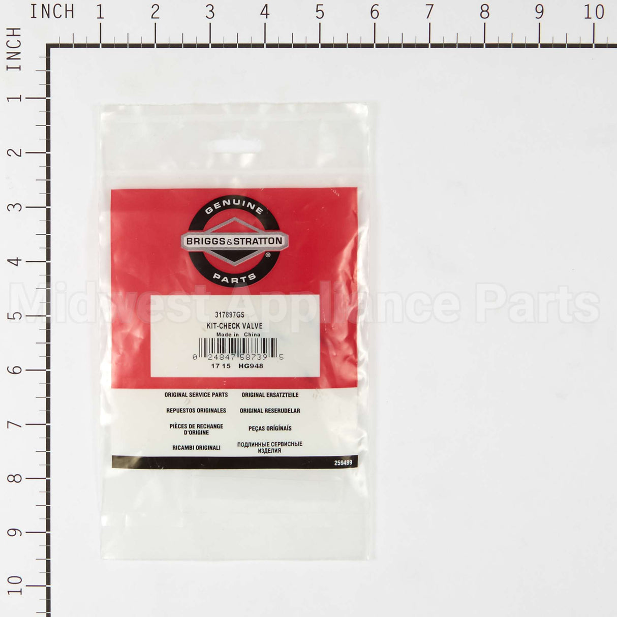 317897GS Briggs & Stratton Kit-Check Valve