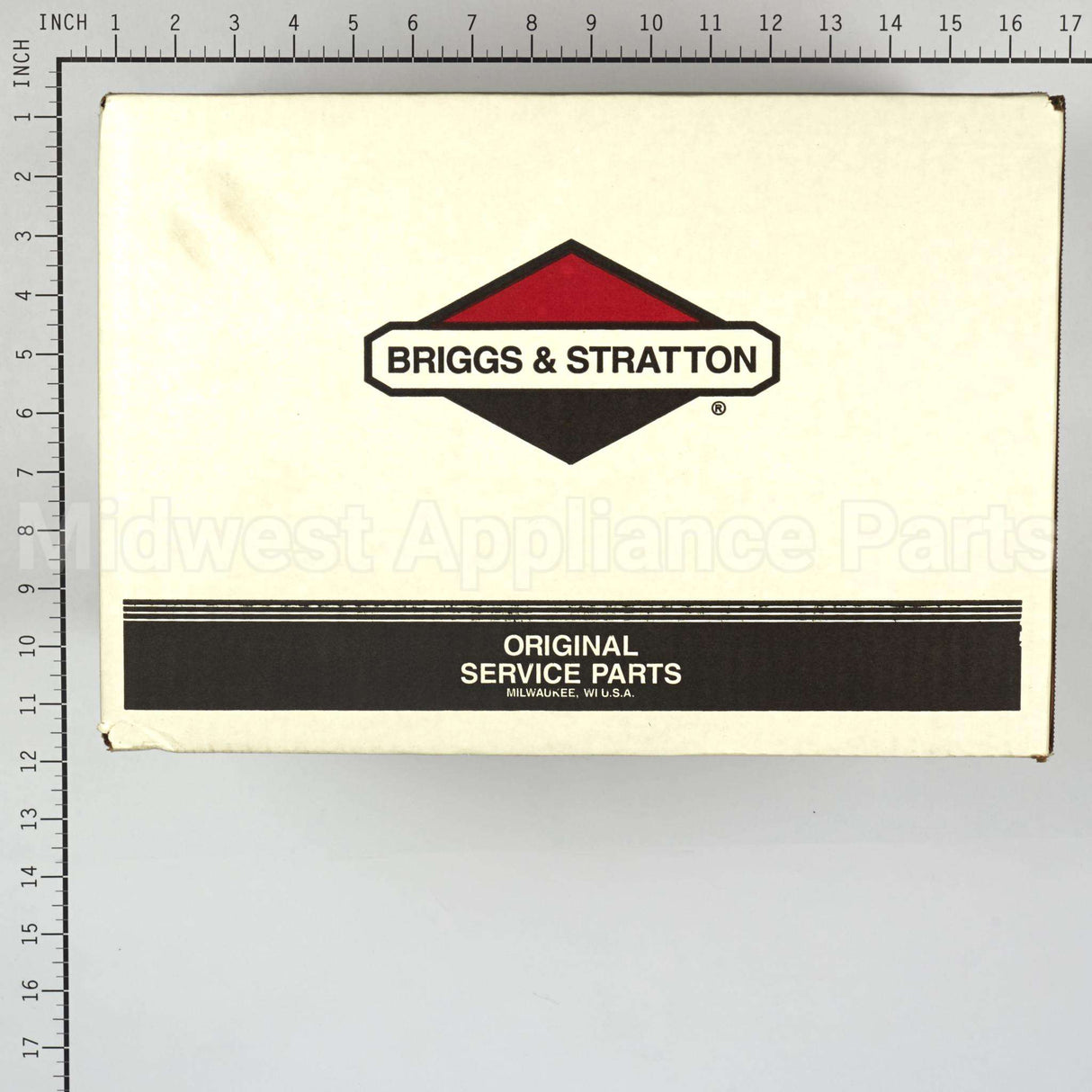 317991GS Briggs & Stratton Pump