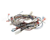 32263.0000 Bunn Wiring Harn,Main 120V Ultra-2