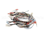 32263.0000 Bunn Wiring Harn,Main 120V Ultra-2