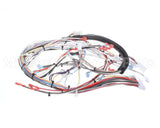 32263.0006 Bunn Wiring Harness, Main Ultra-2