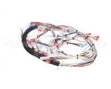 32263.0006 Bunn Wiring Harness, Main Ultra-2