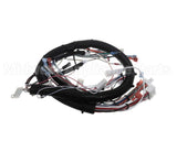 32263.0008 Bunn Wiring Harness, Main Ultra Nx