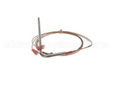 32289 Blodgett Probe, Rtd 500Ohm Rt Angle