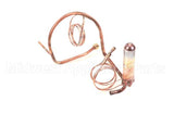 323-60024-00 Traulsen Assemblysuction/Accumulator Line