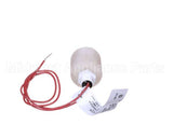 325288000 Cornelius Switch Float Assembly