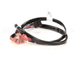 8075813 Frymaster Harness,Interface To I.m. Cap