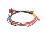 492001 Southern Pride Low Voltage Harness - Gas Roti