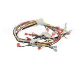 33075 Blodgett Harness, Control 208/240 Kfc