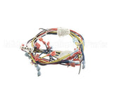 33075 Blodgett Harness, Control 208/240 Kfc