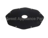 331574 Champion - Moyer Diebel Plate,Drive Side,Bd Housing