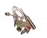 331709-755 Bryant Payne R410A 3Ton Tx Valve Kit