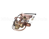 331709-768 Carrier 3/8 Txv Kit