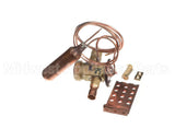 332368-755 Bryant Payne Txv Valve Kit