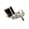 33404 Compatible Cornelius Motor Gear 1/4 230/5/6 Xxxxxxx