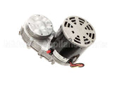 33404 Cornelius Motor Gear 1/4 230/5/6 Xxxxxxx