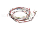 33634.0001 Bunn Wiring Harness,Main Dual Sh