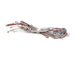 33634.0040 Bunn Wiring Harn,Main- Dual Sh