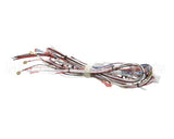 33634.0040 Bunn Wiring Harn,Main- Dual Sh
