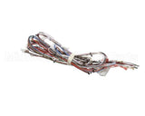 33634.0040 Bunn Wiring Harn,Main- Dual Sh