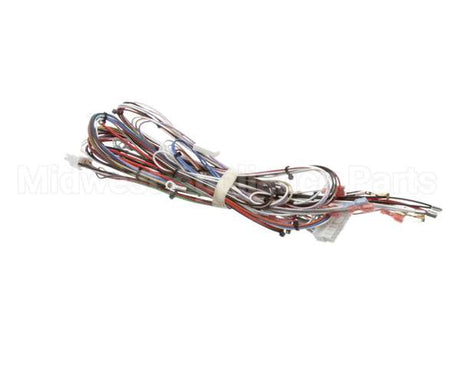 33634.0040 Bunn Wiring Harn,Main- Dual Sh