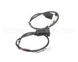 3370074661 Schaerer Optical Proximity Sensor 30V Dc+Cable