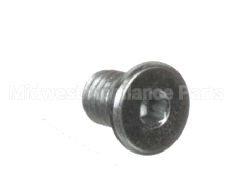3371999009 Schaerer Hex Socket Cap Scr. L.h. M6X8 Galv.