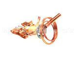 3388 Preprite Desmon Thermal Expansion Valve R300152U