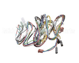 33Z0009 Merrychef E4 Low Voltage Loom