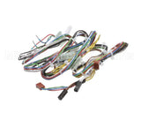 33Z0009 Merrychef E4 Low Voltage Loom