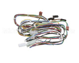 33Z0009 Merrychef E4 Low Voltage Loom